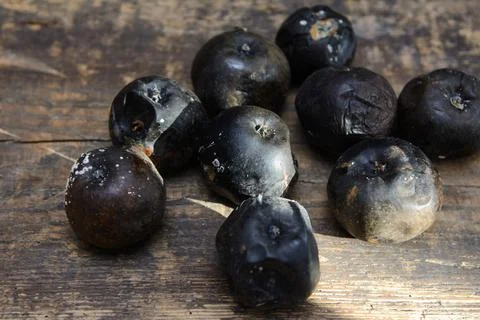 Rotten apples 写真素材