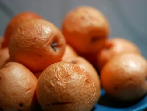 Rotten apples on a plate Stock Photos