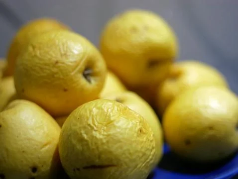 Rotten apples on a plate Stock Photos