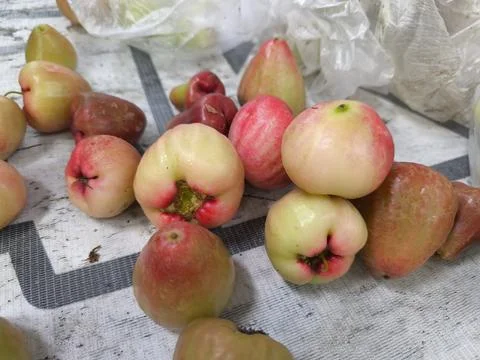 Rotten apples on a table surface. Fotos Stock