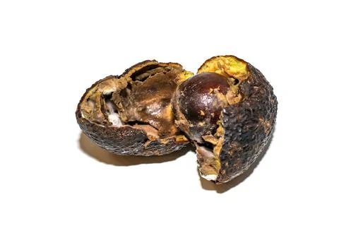 Rotten avocado with mold split in half. The avocado is spoiled. Rotten avocado Stock Photos