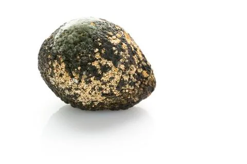 Rotten avocado Stock Photos