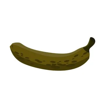 Rotten Banana Day 4. Decayed yellow fruit. Old spoiled fetus Stock Illustration