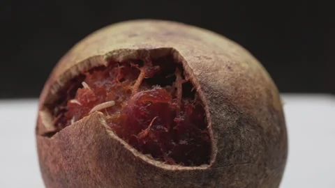Rotten Beal Fruit an wood apple Stock Footage 282954287