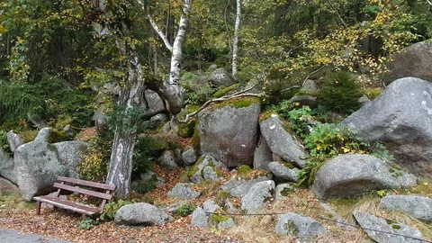 Rotten bench and rocks pan beside small road in mountain range Harz forest 4k Stock Footage 87265133