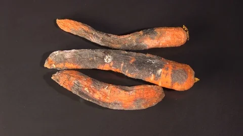 Rotten carrot on a black background Video stock 71052079