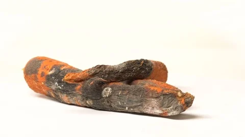 Rotten carrot on a white background 動画素材 71043261
