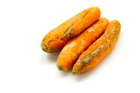Rotten carrots Stock Photos