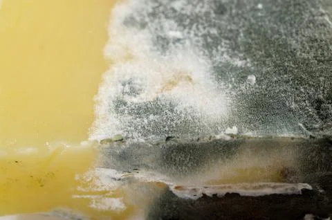 Rotten cheese Stock Photos