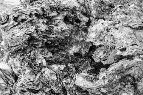 Rotten dead tree trunk - black and white - abstract background texture Stock Photos