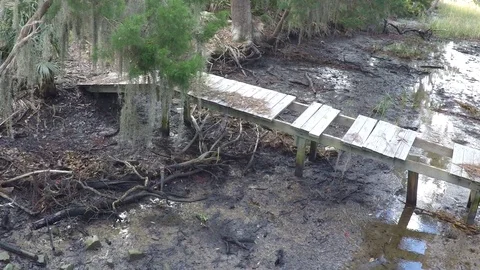 Rotten decaying footbridge in southeastern US Stock Footage 100289986