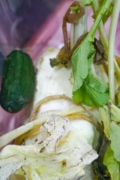 Rotten Decomposing Vegetables Close Up Stock Photos