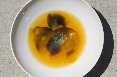 Rotten Egg Stock Photos