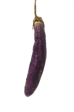 Rotten eggplant 库存照片