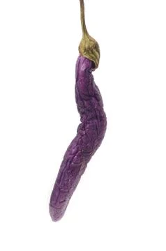 Rotten eggplant 写真素材