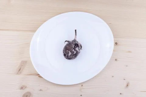 Rotten eggplant Stock Photos