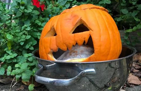 Rotten evil pumpkin Stock Photos