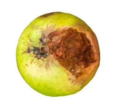 Rotten Green Apple Stock-Fotos