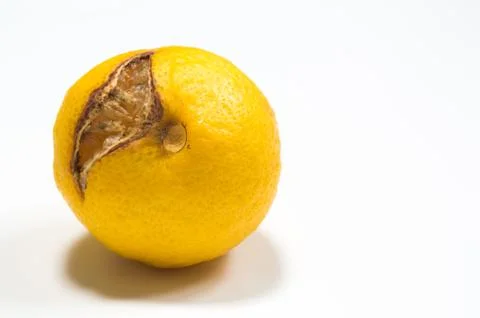 Rotten lemon isolated on white Stock Photos