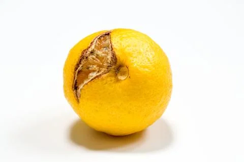 Rotten lemon isolated on white Stock Photos