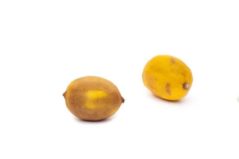 Rotten lemon Stock Photos