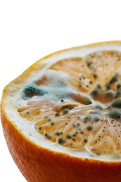 The rotten lemon Stock Photos