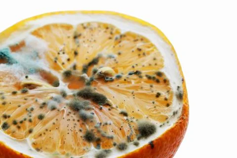 The rotten lemon 库存照片
