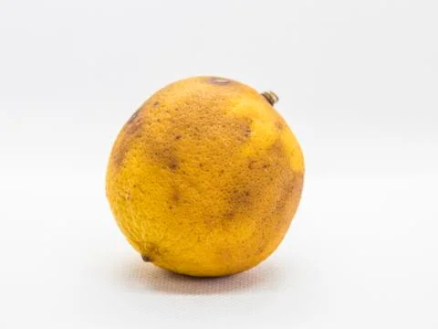 Rotten Lemon Stock Photos