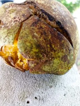 Rotten mango fruit on abstract background Stock Photos