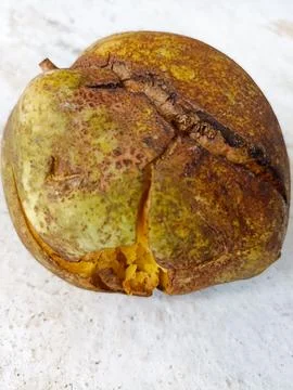 Rotten mango fruit on abstract background Stock Photos