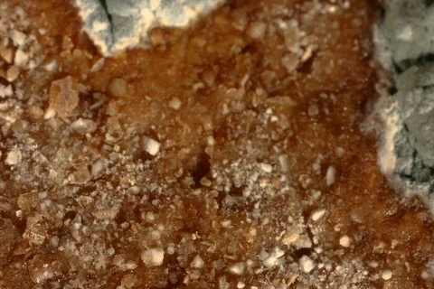 Rotten moldy bread. Timelapse Stock Footage 108950042