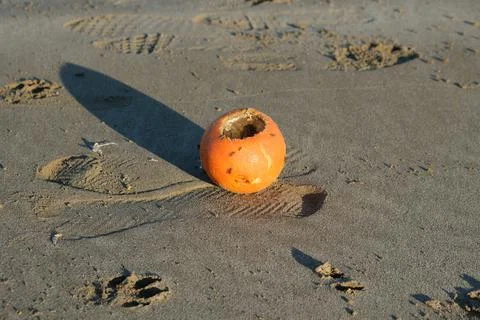 Rotten orange and mosquito and footprints on the beach Stock Photos
