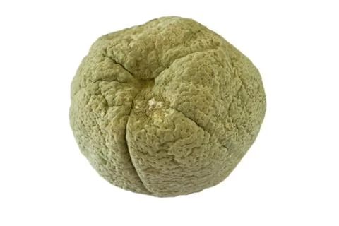 Rotten orange Fotos Stock