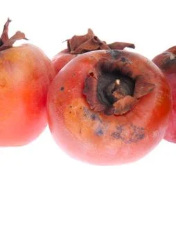 Rotten persimmons Stock Photos