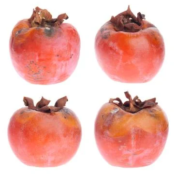 Rotten persimmons Stock Photos