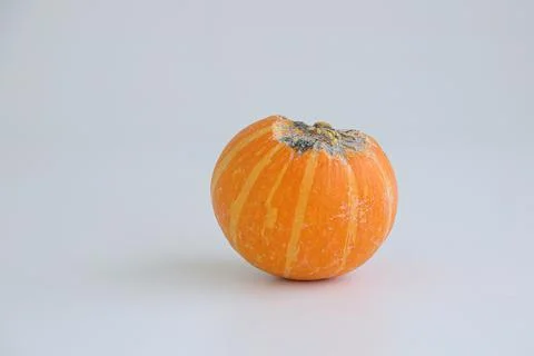 A rotten pumpkin isolated on a light background. Stock Photos
