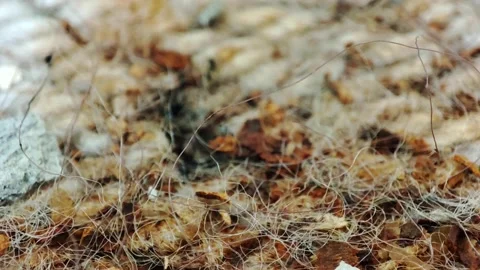 Rotten rusty iron and nails Stock Footage 165102449