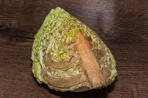 Rotten spoiled cabbage on the table Stock Photos