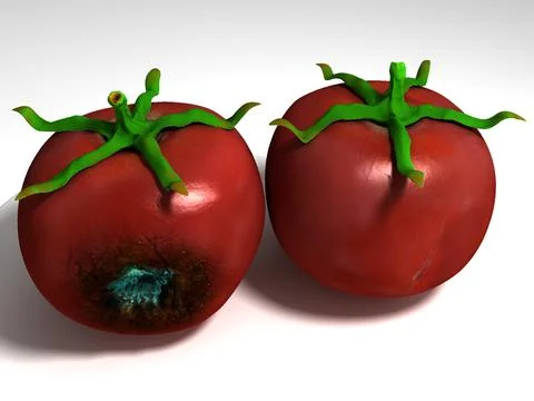 Rotten Tomato with Stalk 3D Model