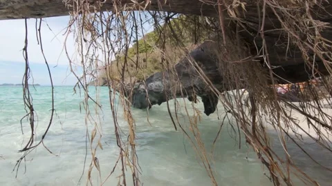 Rotten tree trunk fallen above paradisiac shoreline in Koh Hey (Coral Vídeo Stock 149107048
