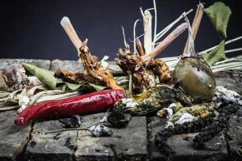 Rotten vegetables Stock Photos