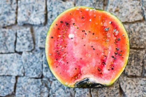 Rotten watermelon Stock Photos