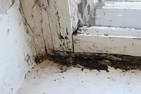 Rotten window frame Stock Photos