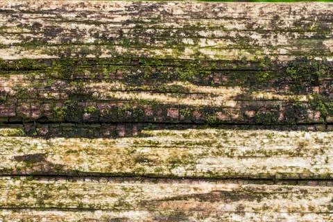 Rotten Wood Background Stock Photos
