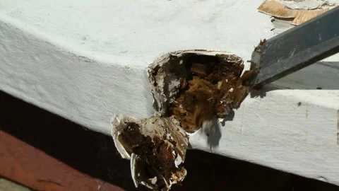 Rotten wood on a window frame, using chisel to dig out the rotten wood. Stock Footage 257202835