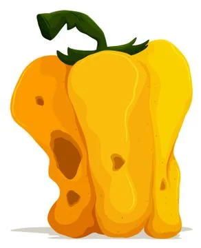 Rotten yellow bellpepper on white background Stock Illustration