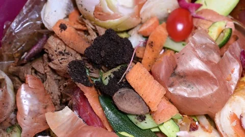 Rottening, moldy vegetable waste with worms of fly larvae, spot fungus, garbage Stock Footage 339769554
