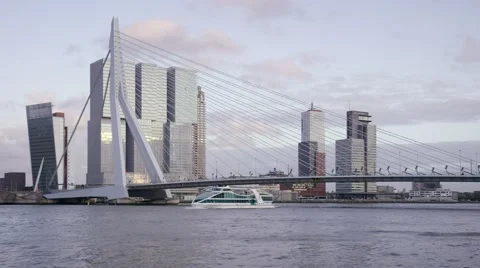 Rotterdam Erasmusbridge with the Rotterdam Office building Stock Footage