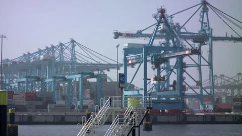 Rotterdam Harbor in Action: Panning View of Busy Cranes Stock-Footage 240987713