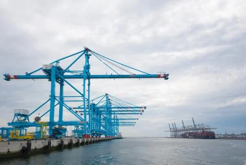 Rotterdam harbor cranes Stock Photos